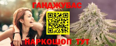 дживик Тара