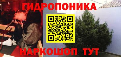 каннабис Тверь