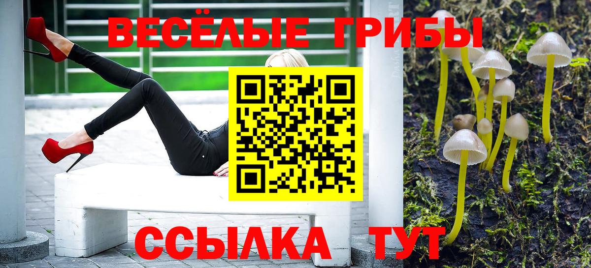 Галлюциногенные грибы Cubensis  Вход с VPN  Псилоцибиновые грибы GOLDEN TEACHER  Новочебоксарск 