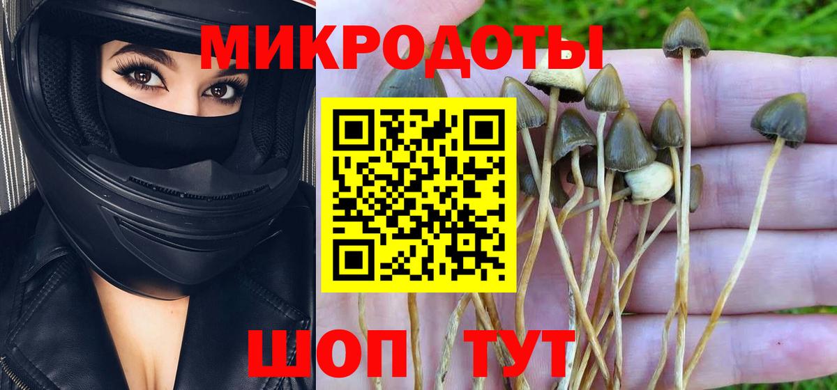 Псилоцибиновые грибы Psilocybine cubensis Новочебоксарск